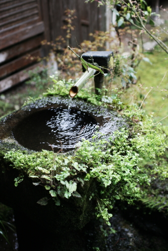 f0093592_20511441.jpg