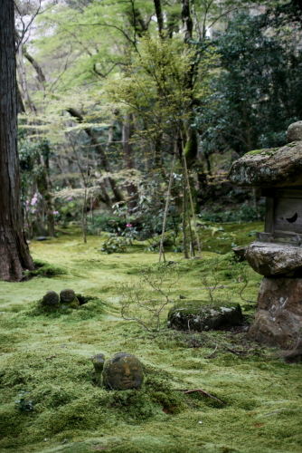 f0093592_20512835.jpg
