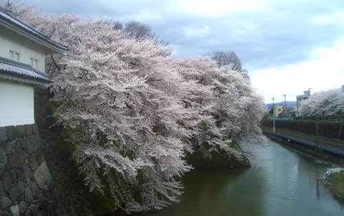 b0099994_1551238.jpg