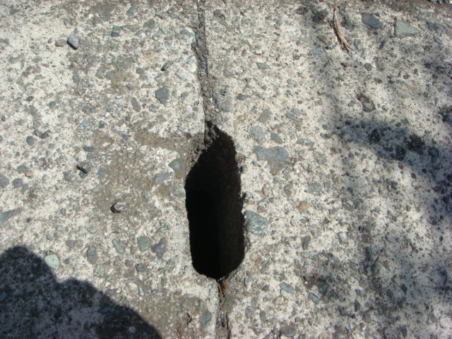 f0137694_212563.jpg