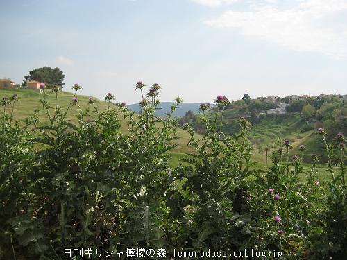 c0010496_2291142.jpg