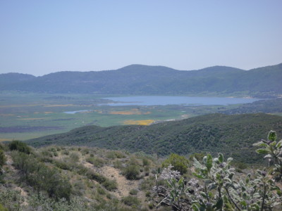 a0127398_2413647.jpg