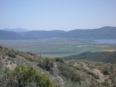 a0127398_2421135.jpg