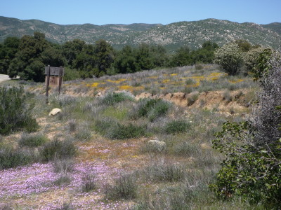 a0127398_2453881.jpg