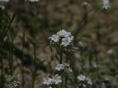 a0127398_2545246.jpg
