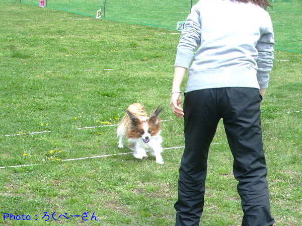 c0044199_15484672.jpg