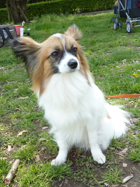 c0044199_1551425.jpg