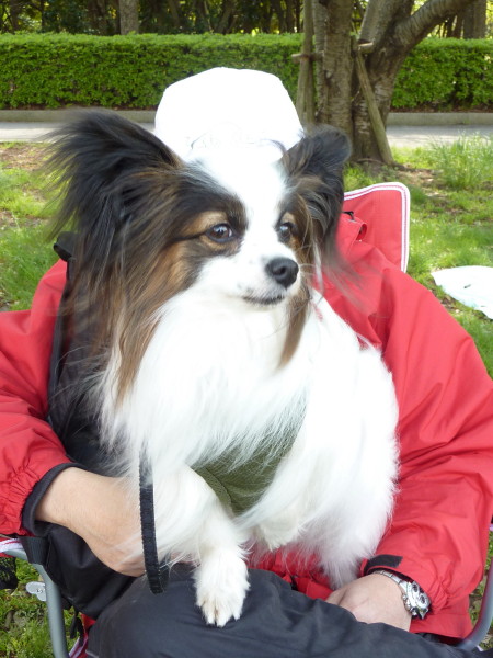 c0044199_1551513.jpg