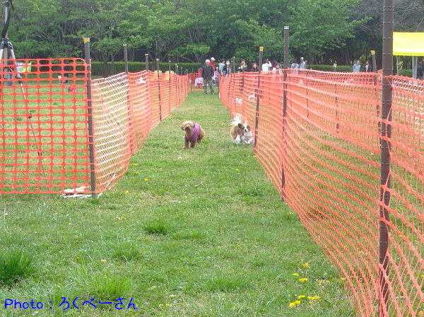 c0044199_1746266.jpg