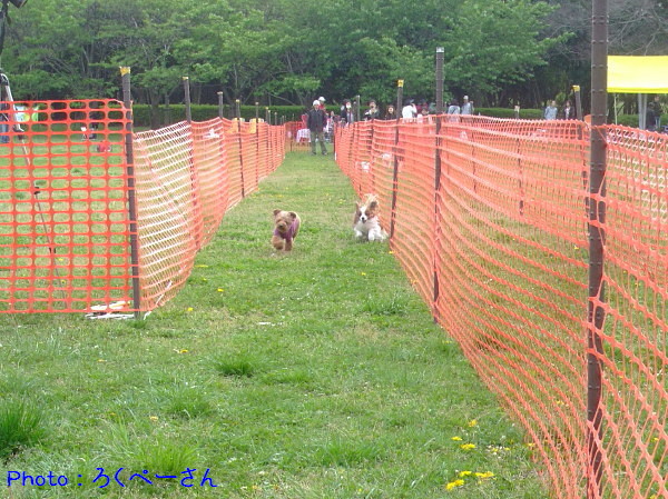 c0044199_17463415.jpg