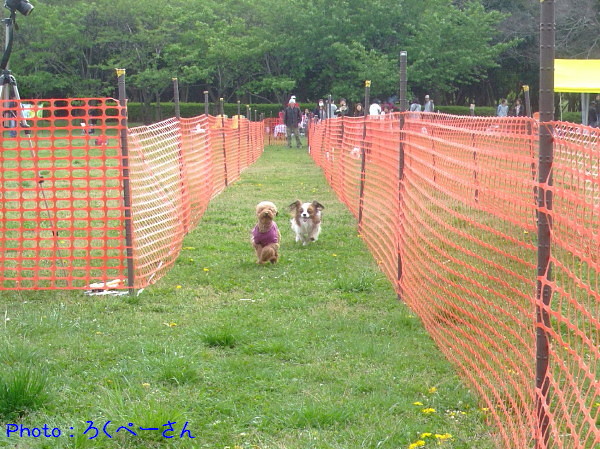 c0044199_17465625.jpg