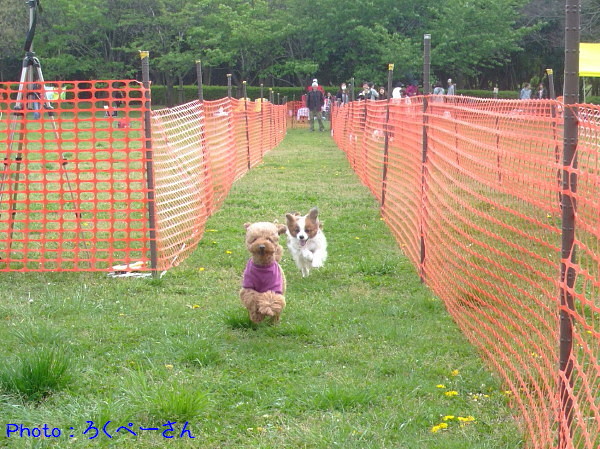 c0044199_17475087.jpg