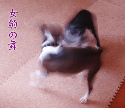c0094999_18261055.jpg