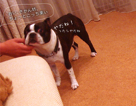 c0094999_18261521.jpg