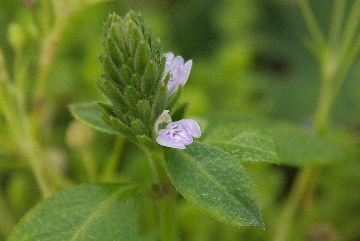 b0174905_548340.jpg