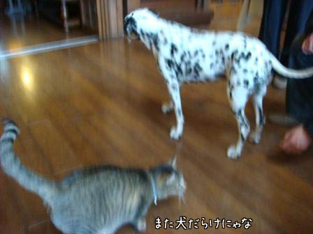 f0064906_18521721.jpg