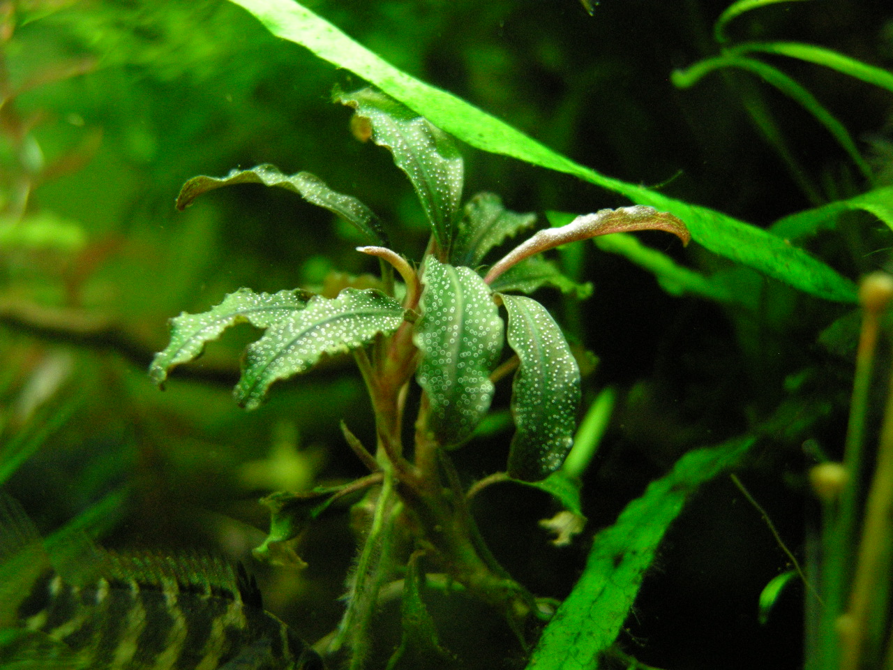 c0224611_5115365.jpg