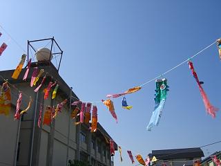 e0190416_129082.jpg