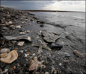 f0166919_14452764.jpg