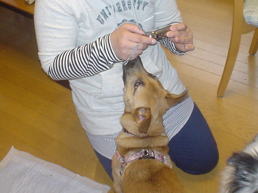 c0150520_210832.jpg