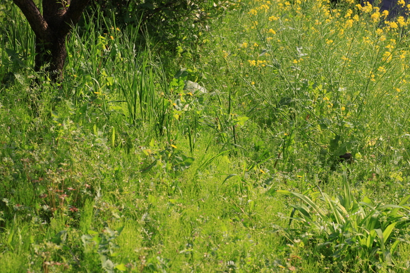 b0165522_14141118.jpg
