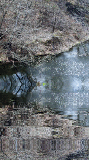 f0227323_955630.gif