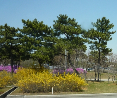 b0028524_9525515.jpg