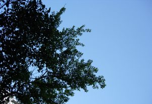 f0083426_16313293.jpg