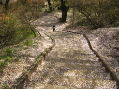 f0085728_15472133.jpg