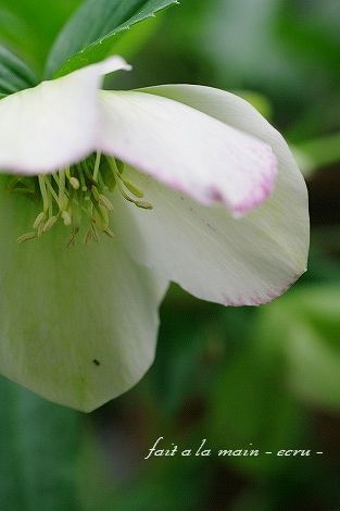 c0093830_19114133.jpg