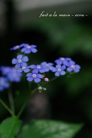 c0093830_1912084.jpg