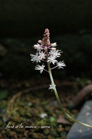 c0093830_19121869.jpg