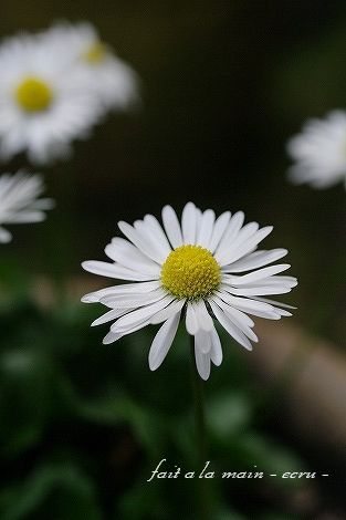 c0093830_19135850.jpg