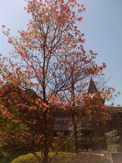 f0131934_1951022.jpg