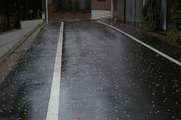 e0149037_1583973.jpg