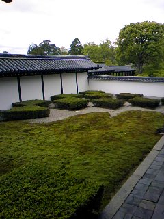 a0116442_1239268.jpg