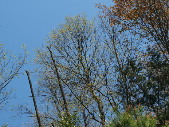 c0072843_1914054.jpg