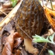 e0150849_14324517.jpg