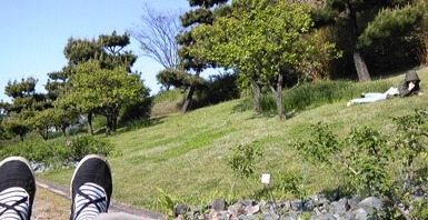 e0168250_17441092.jpg