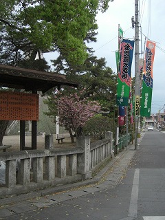 f0009451_14541630.jpg
