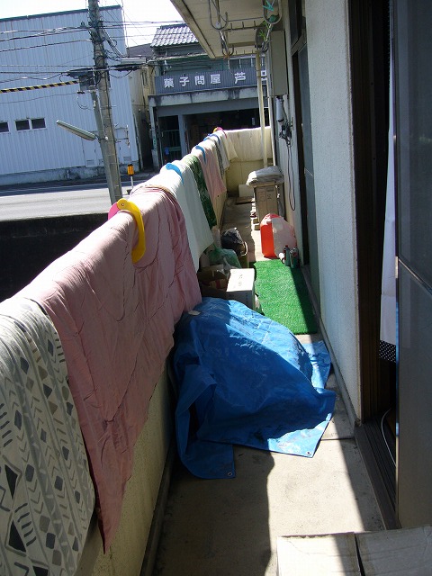 b0160255_1134880.jpg
