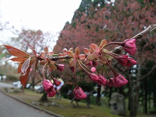 c0208355_12163353.jpg