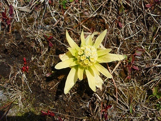 e0004756_8335445.jpg