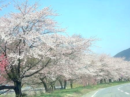 c0097558_2329887.jpg