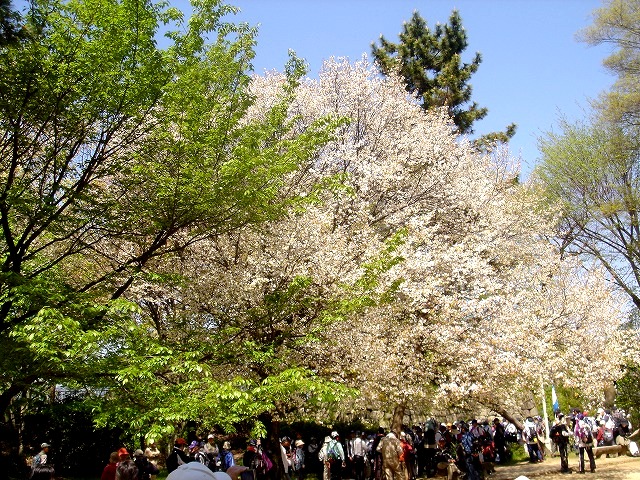 b0044663_8511217.jpg
