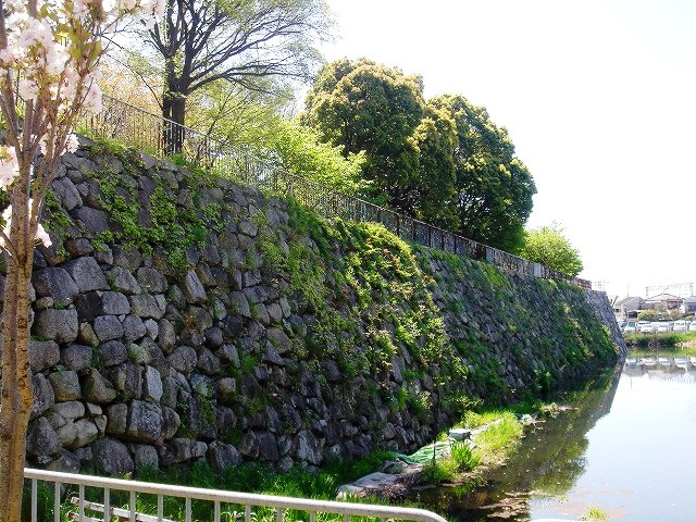b0044663_8512879.jpg