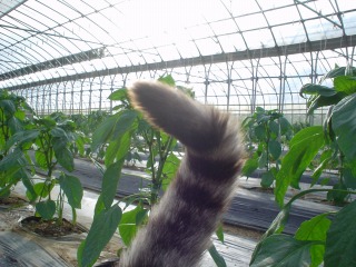 f0055264_2323690.jpg