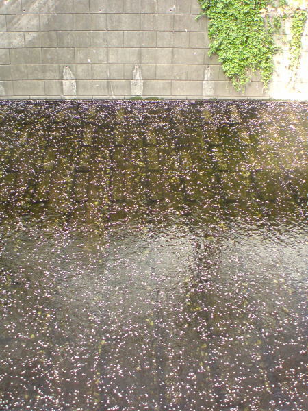 e0153367_14285380.jpg