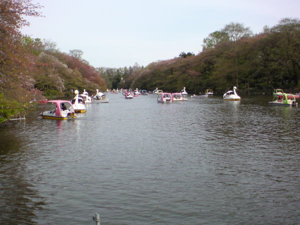 e0153367_1555975.jpg