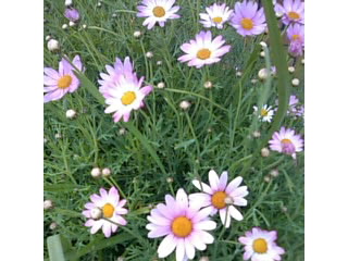 f0061067_23195981.jpg